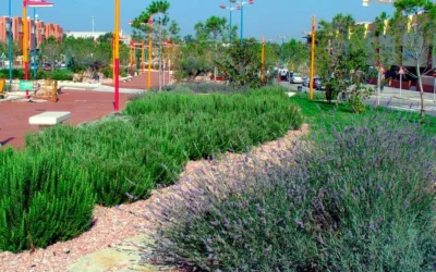 Plantas para jardines de bajo mantenimiento