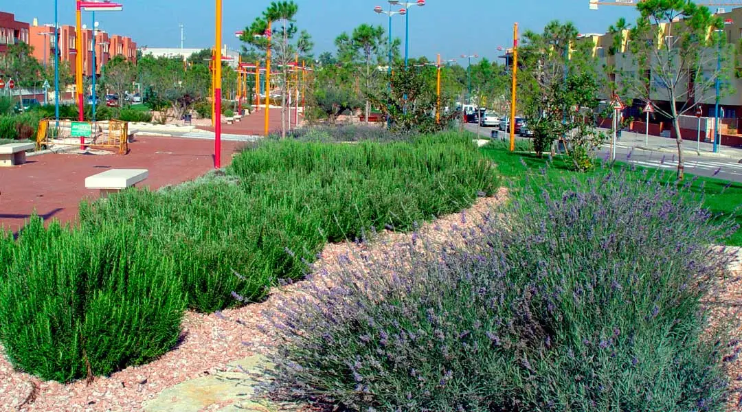 Plantas para jardines de bajo mantenimiento