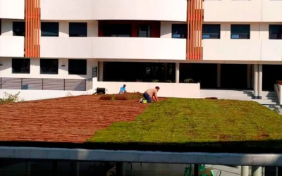 Cubiertas vegetales en edificios