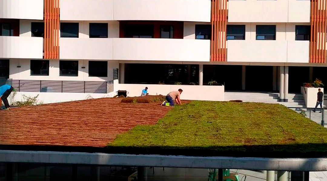 Cubiertas vegetales en edificios con plantas del género Sedum