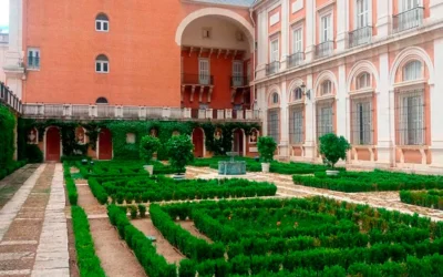 Diseño y plantación de setos en Madrid