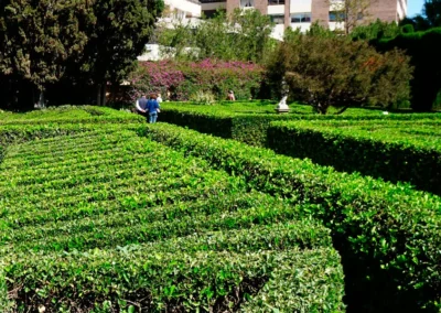 Setos en jardines de Monforte