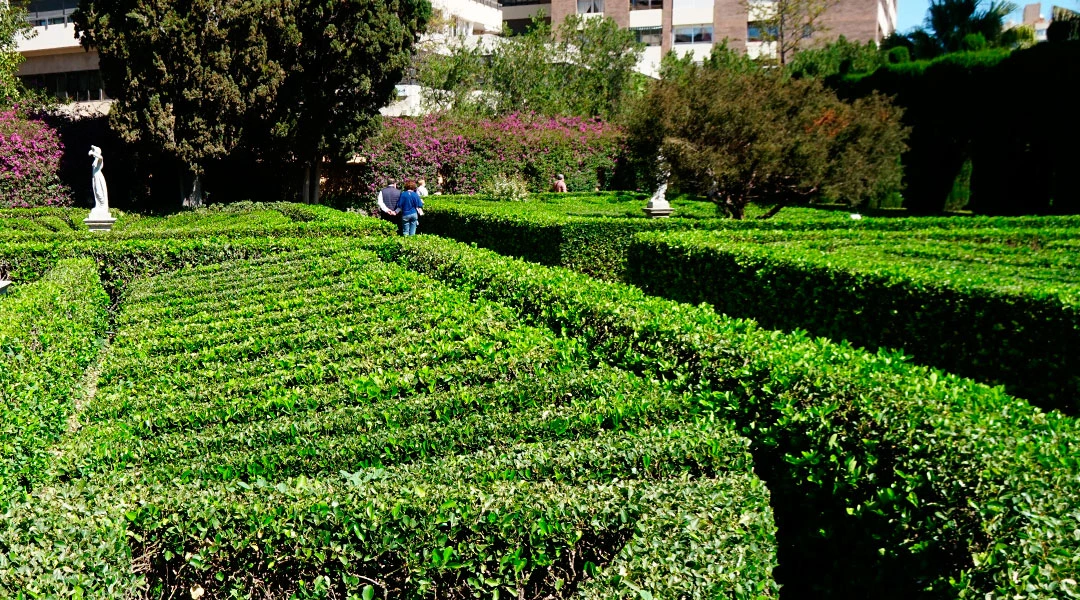 Setos en jardines de Monforte