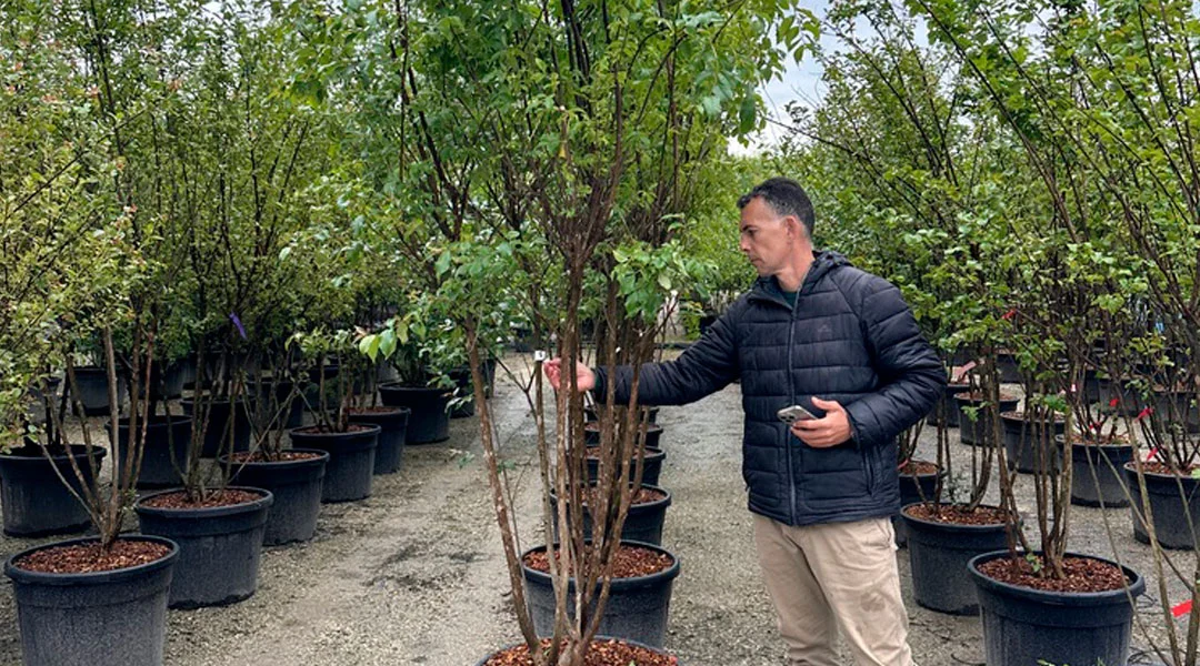Víctor Manuel Gil marcando plantas ejemplares en el vivero