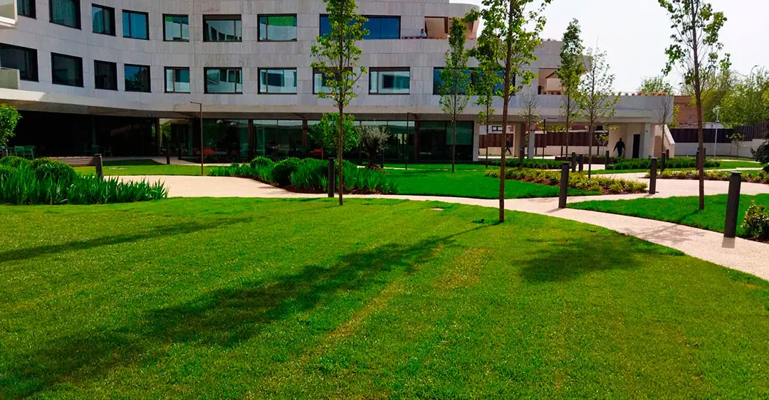 Zona de jardín con césped