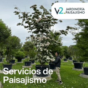 Servicios de paisajismo en Madrid