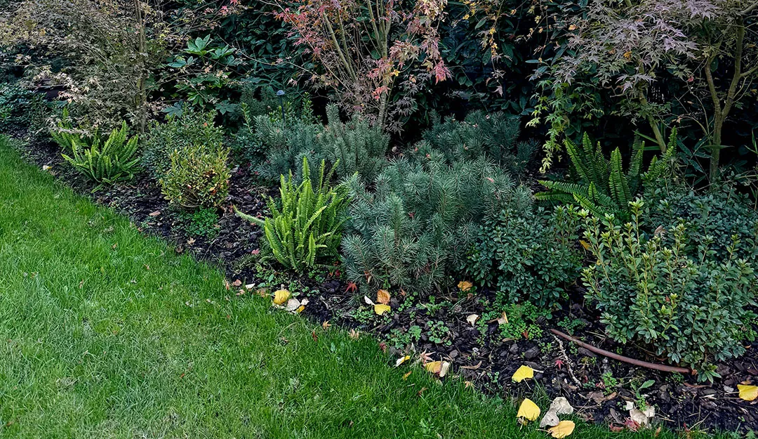Un jardín tras el invierno