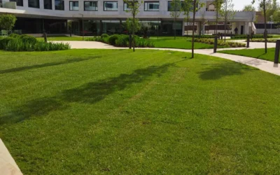 La implantación del césped mediante semilla