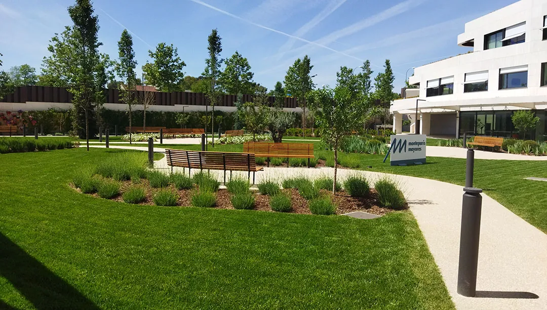 Pradera de césped por semilla