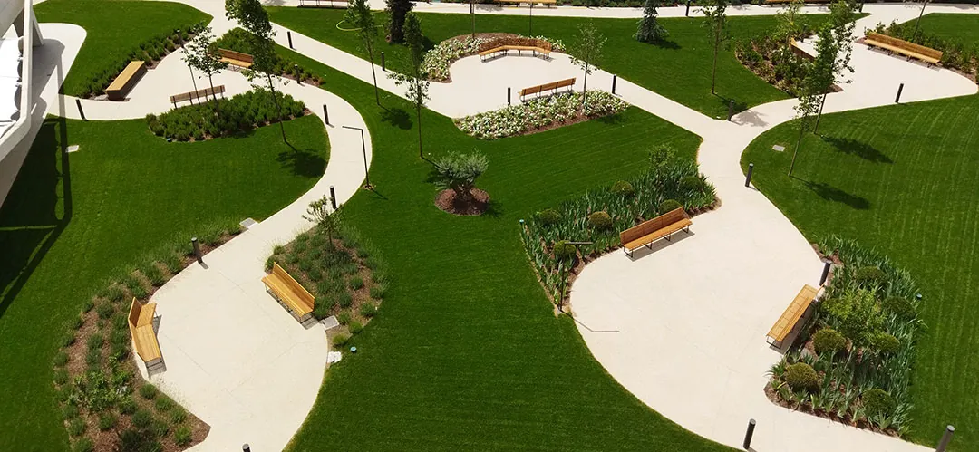 Pradera de césped por semilla