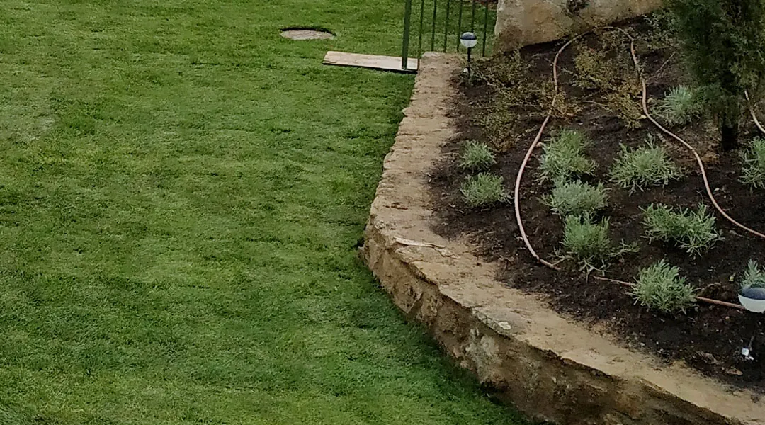 Riego con tubería con goteros y aspersión