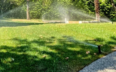 La gestión del agua en el jardín