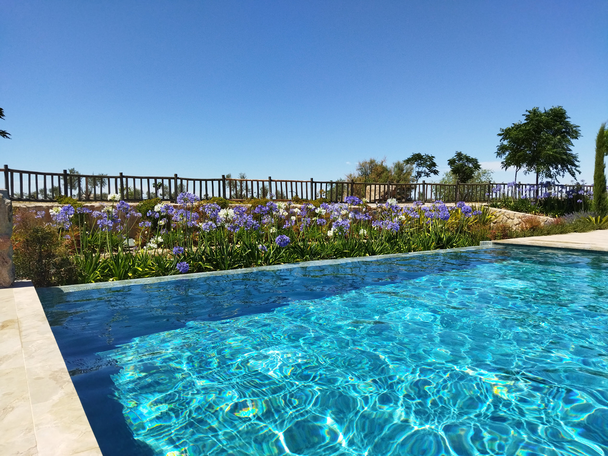 Jardinería y paisajismo premium en La Moraleja
