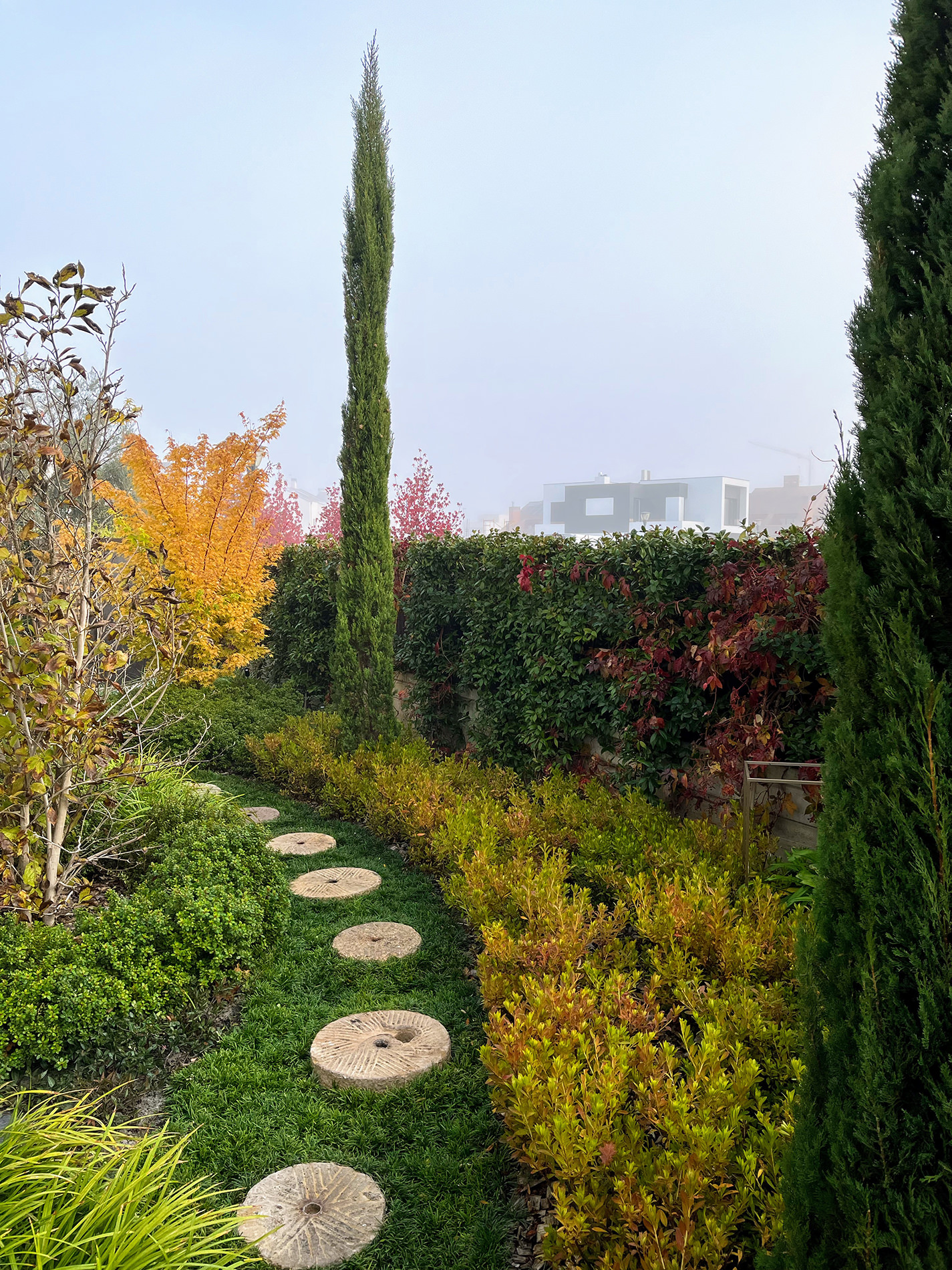 Detalle de diseño de jardines en Pozuelo de Alarcón