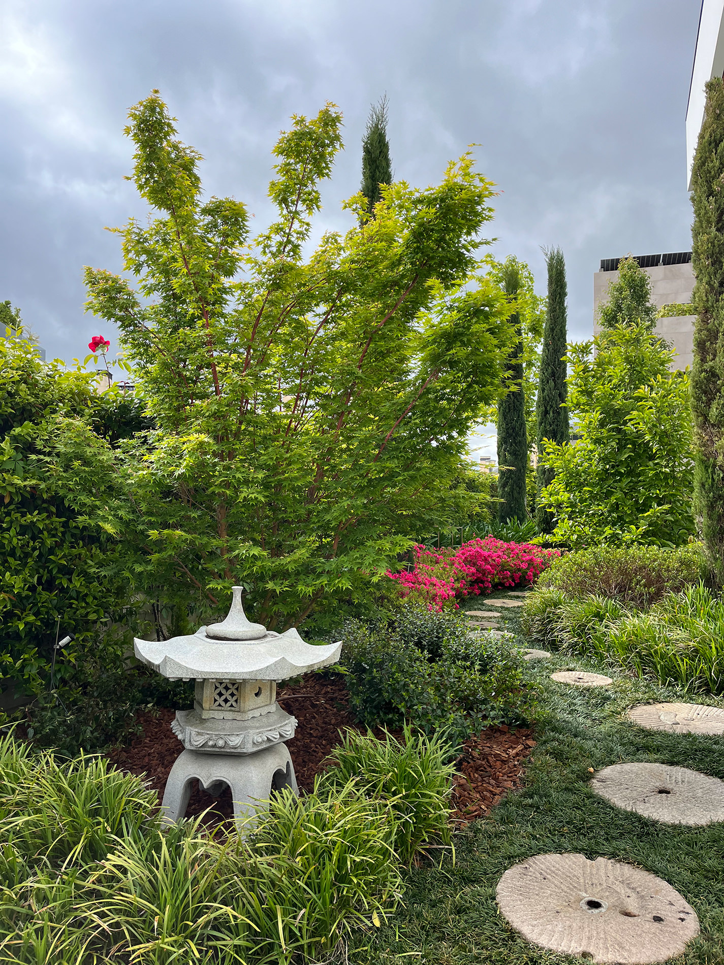 Diseño de jardín residencial de alto nivel