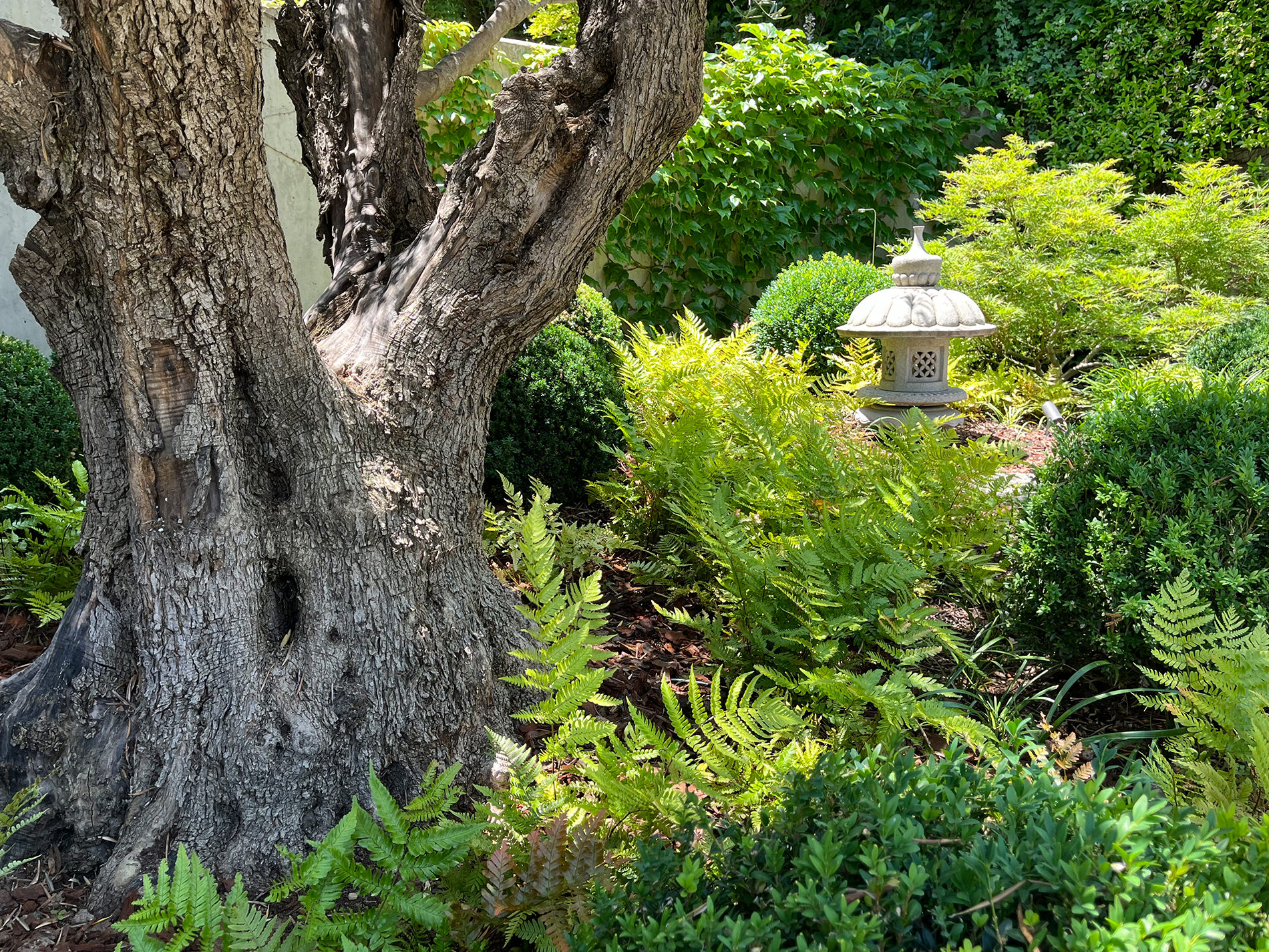 Ejecución y mantenimiento de jardines en Pozuelo de Alarcón