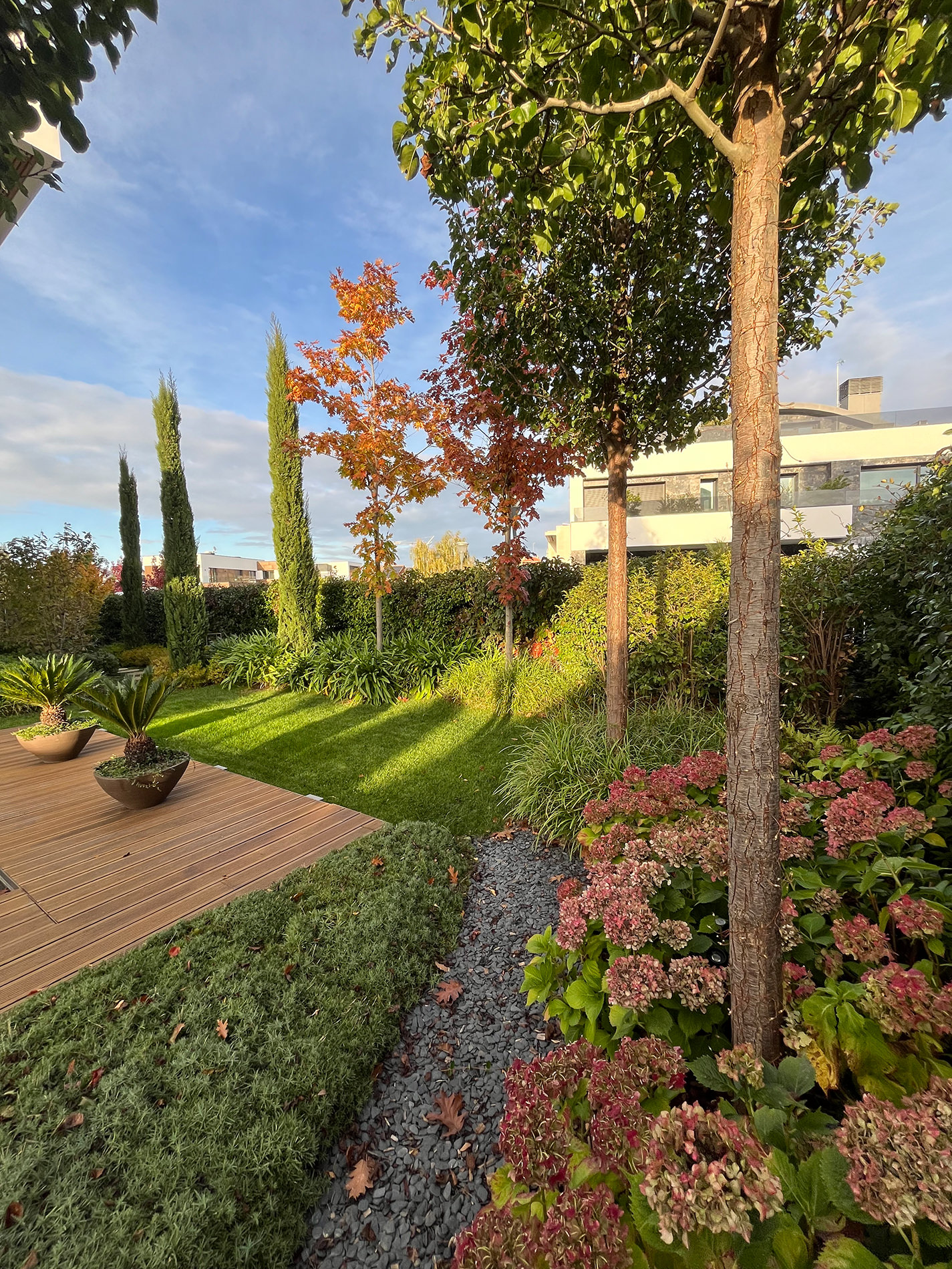 Jardín maduro y elegante en vivienda premium