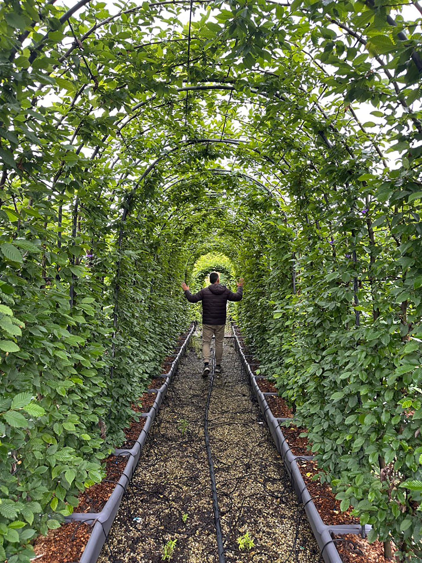 V2 Jardinería y Paisajismo en proyecto residencial